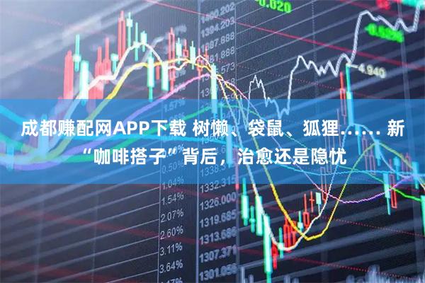 成都赚配网APP下载 树懒、袋鼠、狐狸…… 新“咖啡搭子”背后，治愈还是隐忧