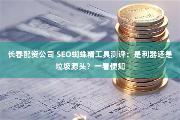 长春配资公司 SEO蜘蛛精工具测评：是利器还是垃圾源头？一看便知