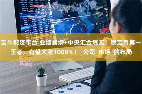 宝牛配资平台 业绩暴增+中央汇金爆买！稳定币第一王者，有望大涨1000%！_公司_市场_的布局